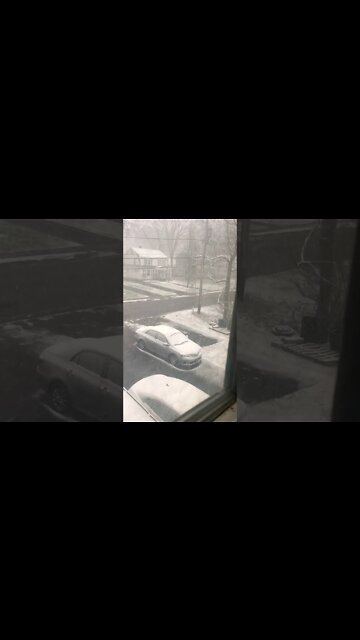 Mother Nature's Attempt at Switching Seasons - Spring - Winter - Spring