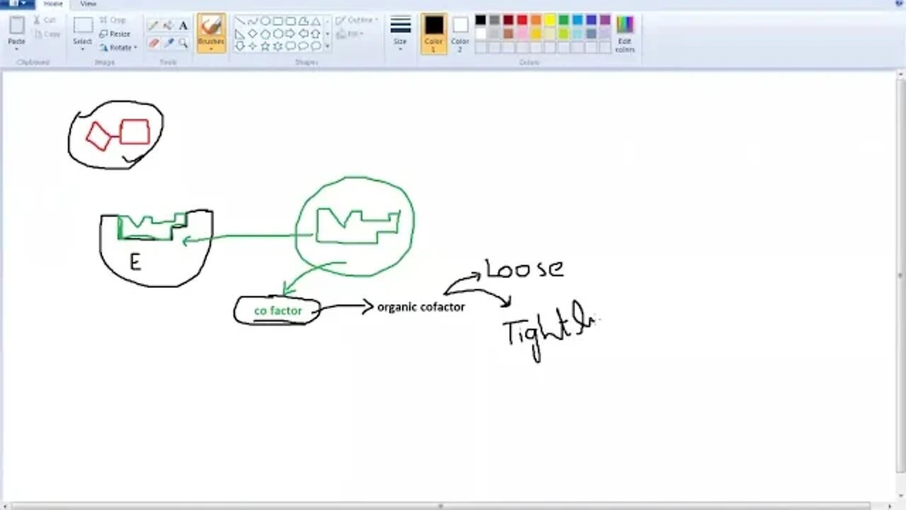 Class 9th Bio Characteristics of Enzyme P2