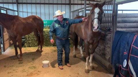 Superior Mane and Hoof