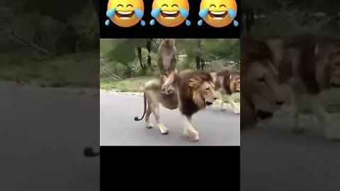 cute கா உந்தி