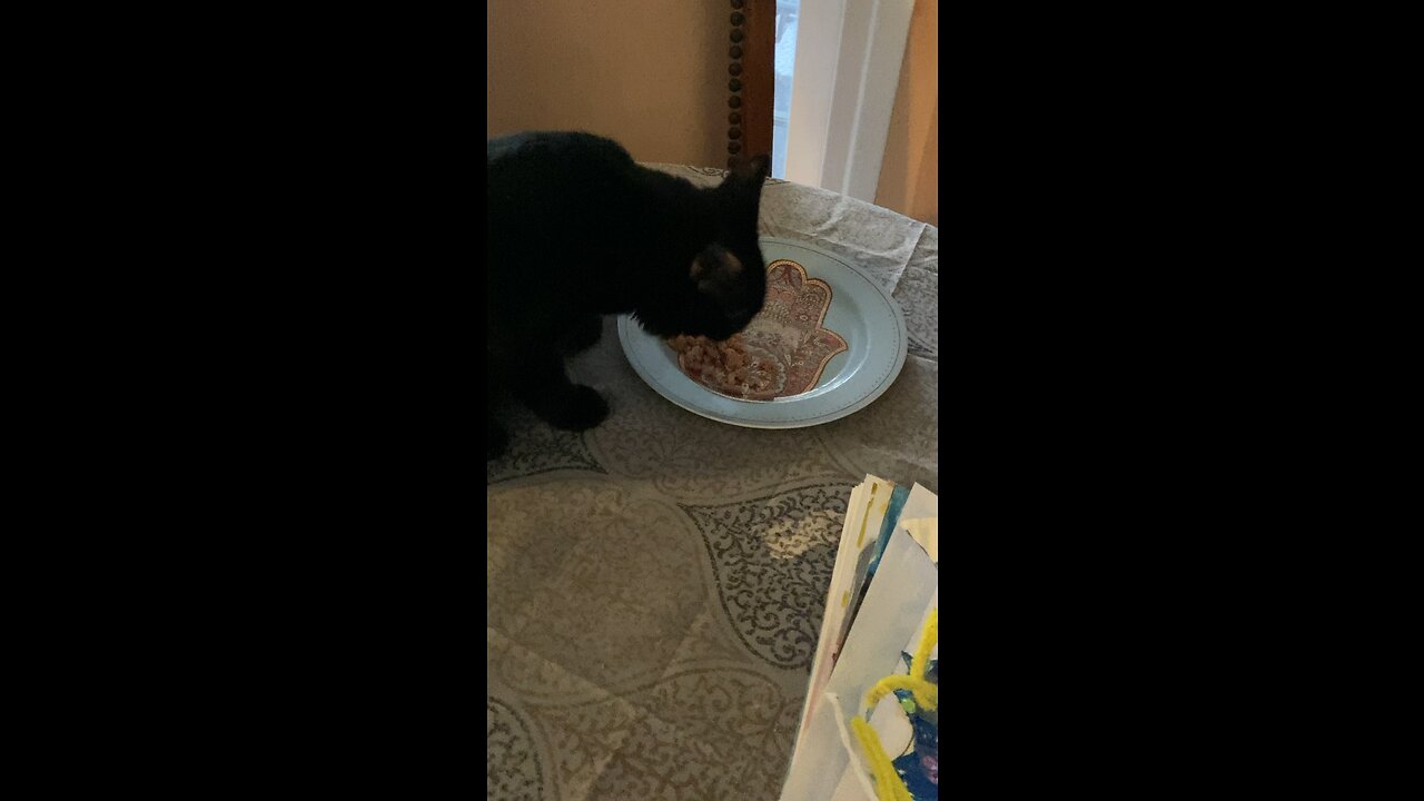 Breakfast time!