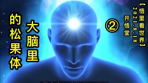 KWT2296(2)大脑里的松果体20210818-8【悟里看世界】