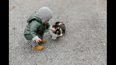 Cute cat & baby