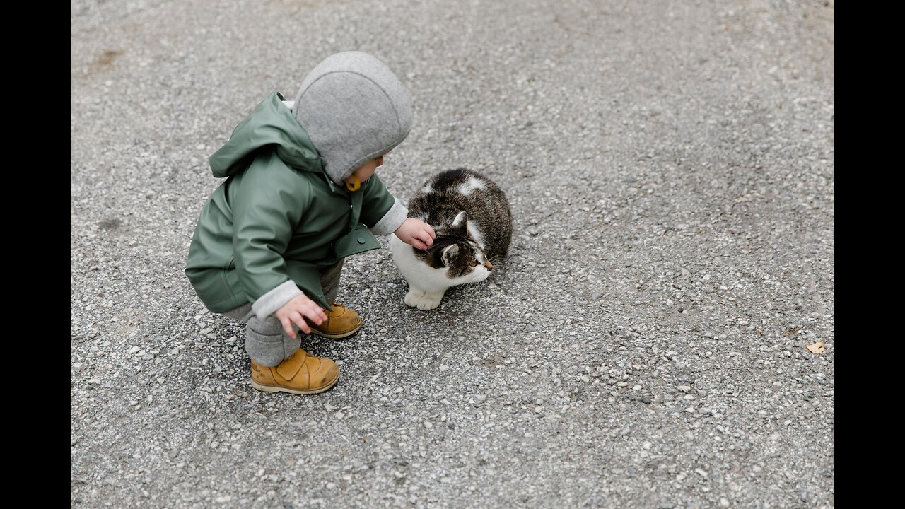 Cute cat & baby