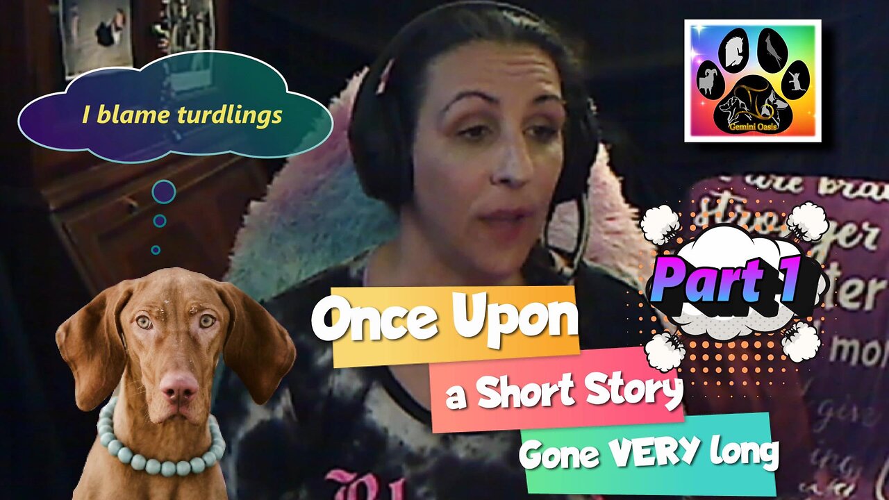 Part 1 - Gemini Oasis: Once Upon a Short Story Gone VERY Long