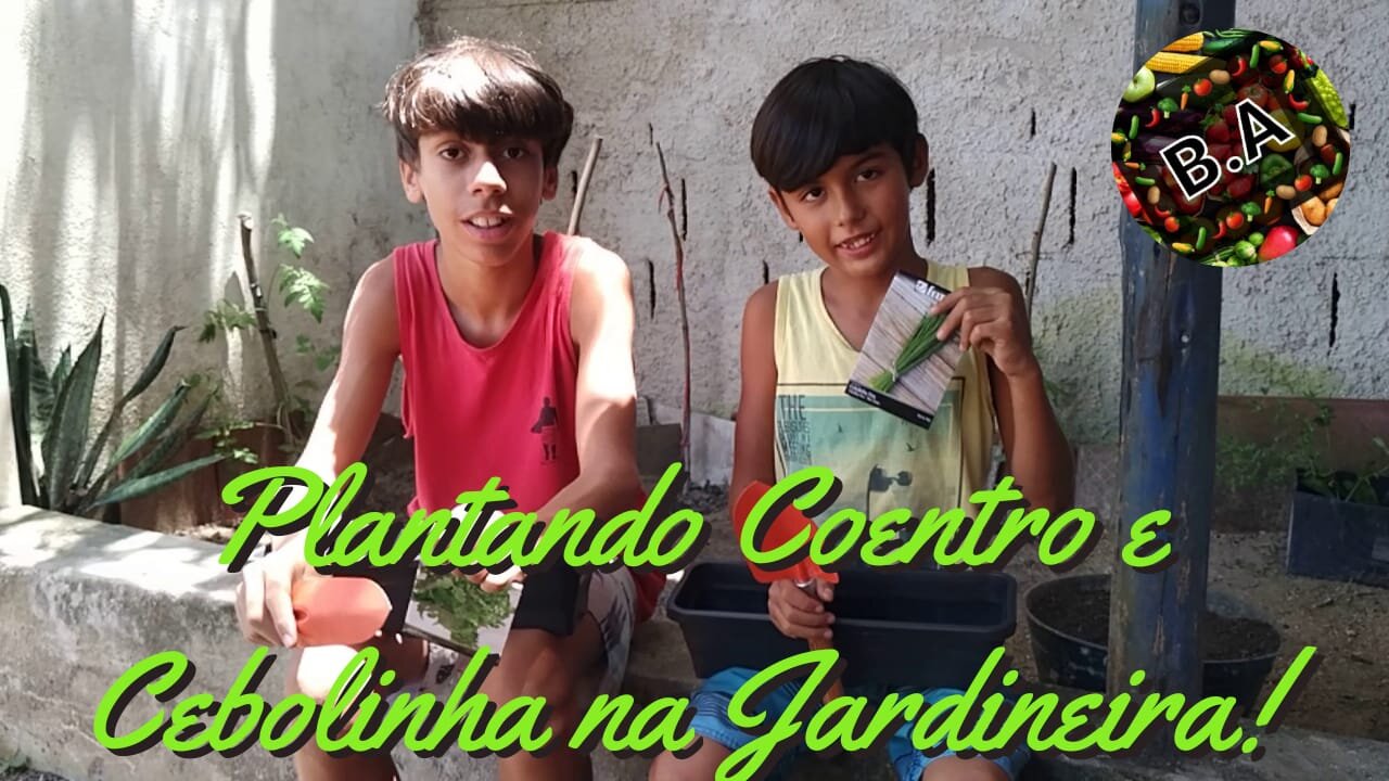 PLANTANDO COENTRO E CEBOLINHA EM JARDINEIRAS #hortaorganica #diygarden #coentro