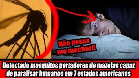 Detectado mosquitos portadores de mazelas capaz de paralisar humanos em 7 estados americanos