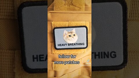 oh lawd he coming heavy breathing #shorts #cat