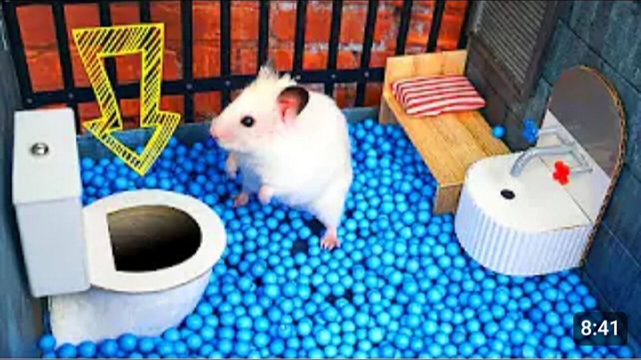 Funny mouse make a lot of fun
