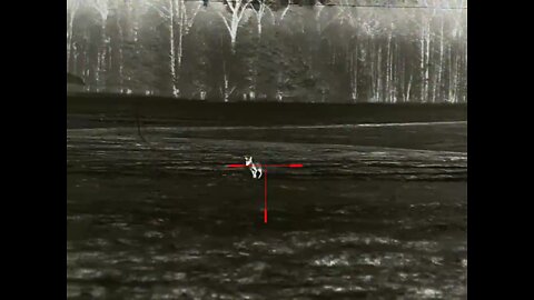 Scope calibrated at the wrong time