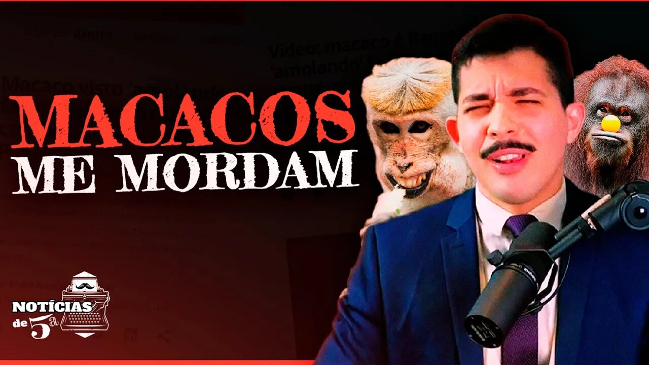 A Mídia é Animal! - Notícias de 5ª # 005 com Kim Paim