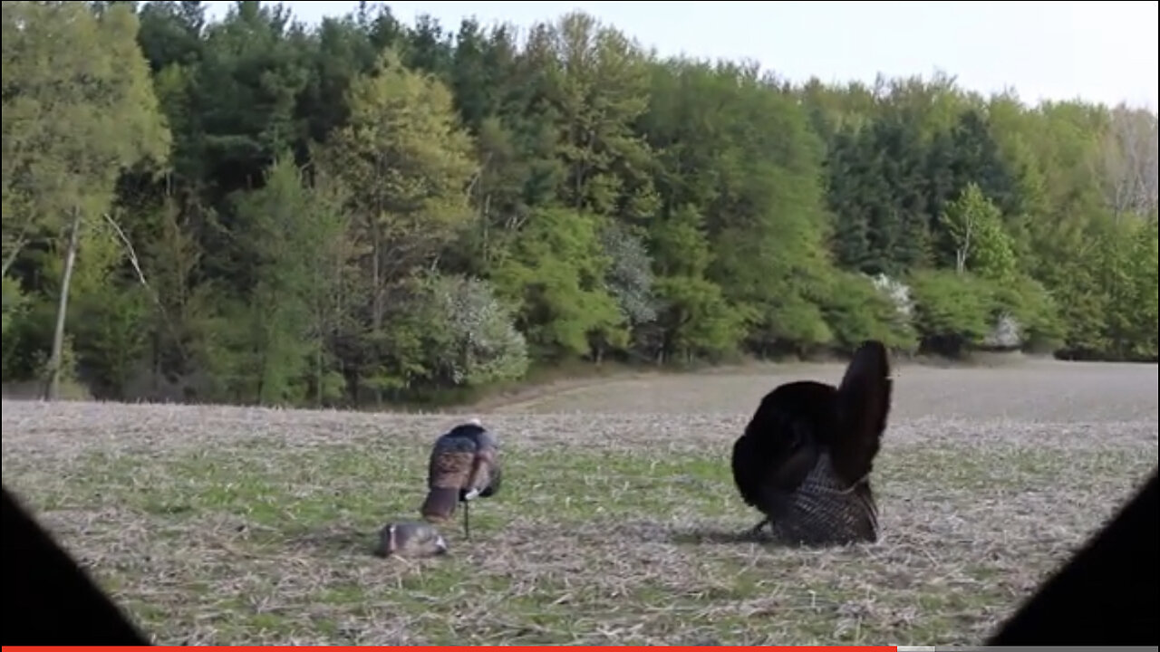 Secrets of the Hunt "8 Weeks" Episode 2: "Preparing to Hunt- Sighting In Your Weapon"