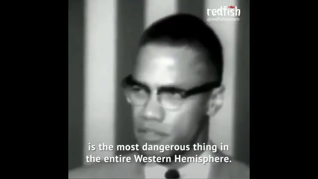 Malcolm X : "White Liberals Are The Most Dangerous Thing In The Entire Western Hemisphere"