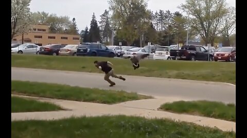 Funny animals attack try not to laugh too much - Ataque de animais engraçados tente não rir muito