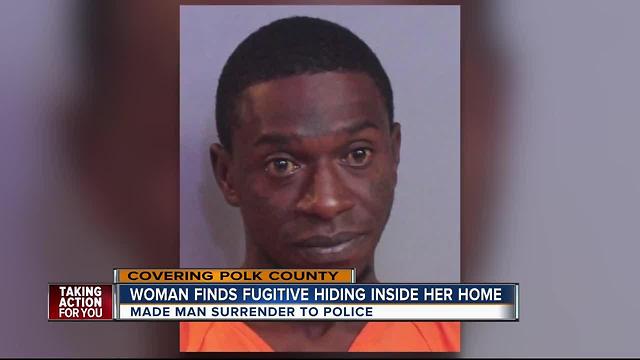 Man hiding from police falls through drywall