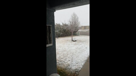 Snow