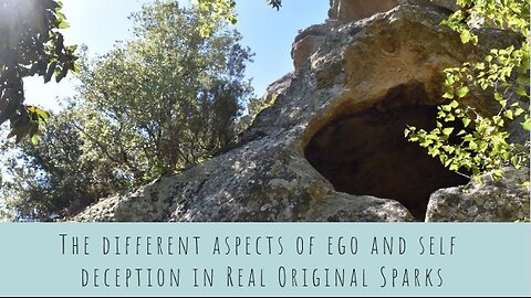The different aspects of ego and self deception in Real Original Sparks