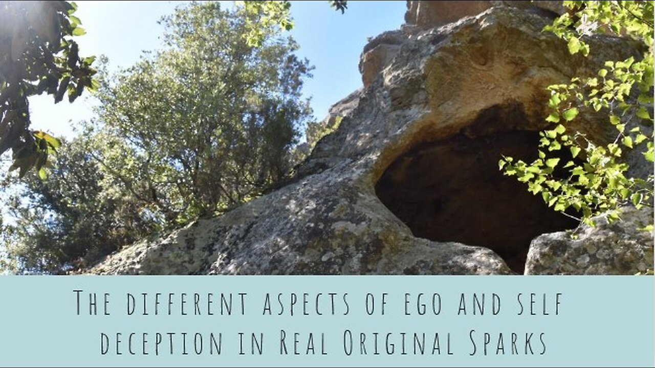 The different aspects of ego and self deception in Real Original Sparks
