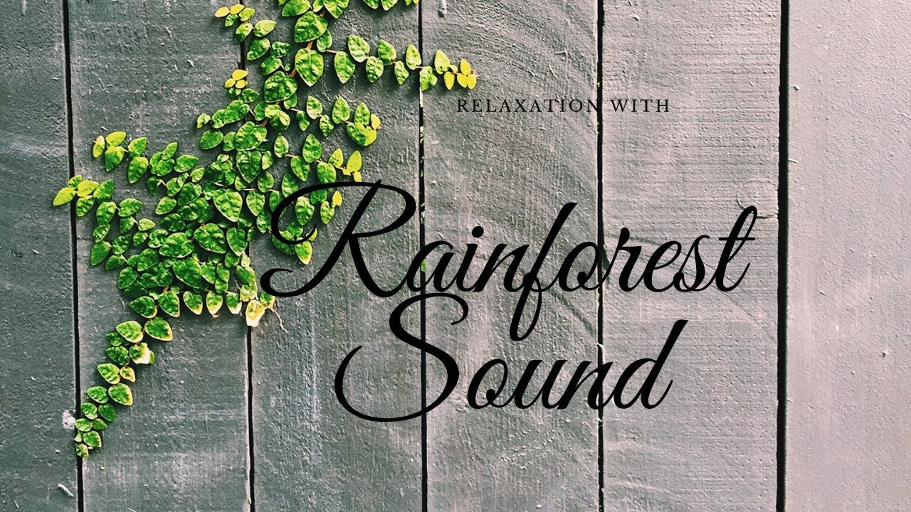 Relaxing Rainforest Showers White Noise - [Sleep, Relaxation, and Concentration]