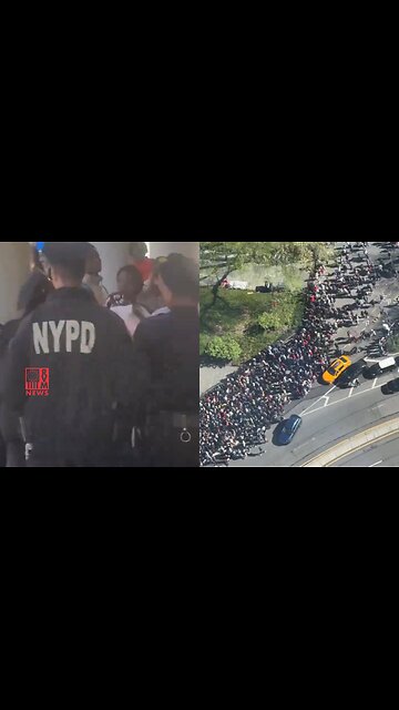 Hundreds Of Military Aged Illegal Alien Men Descend Onto NYC City Hall