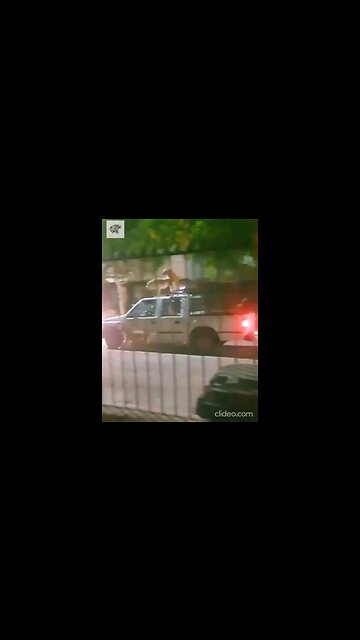 This is why the internet was invented