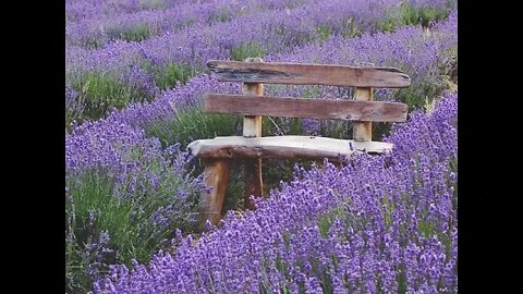 Weekly Live 9/4/2020. Entering the Fall Game Plan