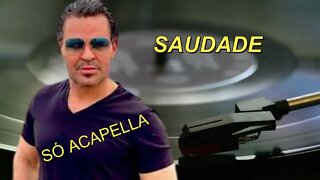 Saudade - Eduardo Costa ACapella