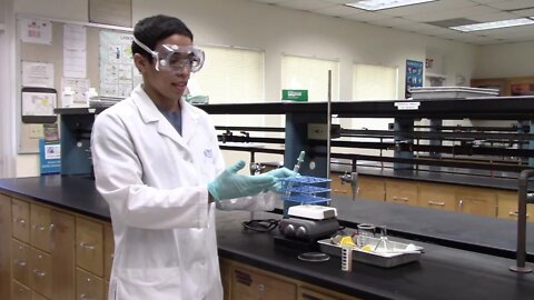 CHM1032L Instructional Video Experiment 13 - Amino Acids and Proteins