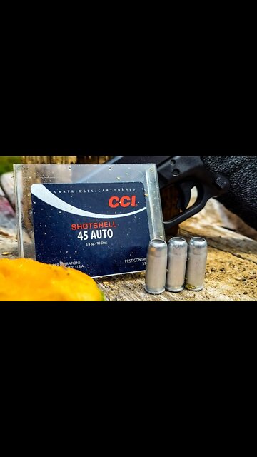 45acp Shotshells vs Canteloupe #shorts