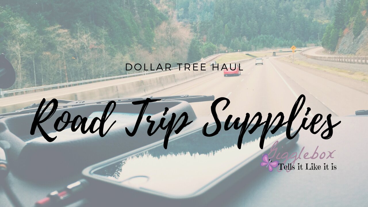 Dollar Tree Haul | Road Trip Supplies | May 29th 2019