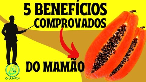 5 BENEFÍCIOS COMPROVADOS DO MAMÃO PAPAIA PARA A SUA SAÚDE