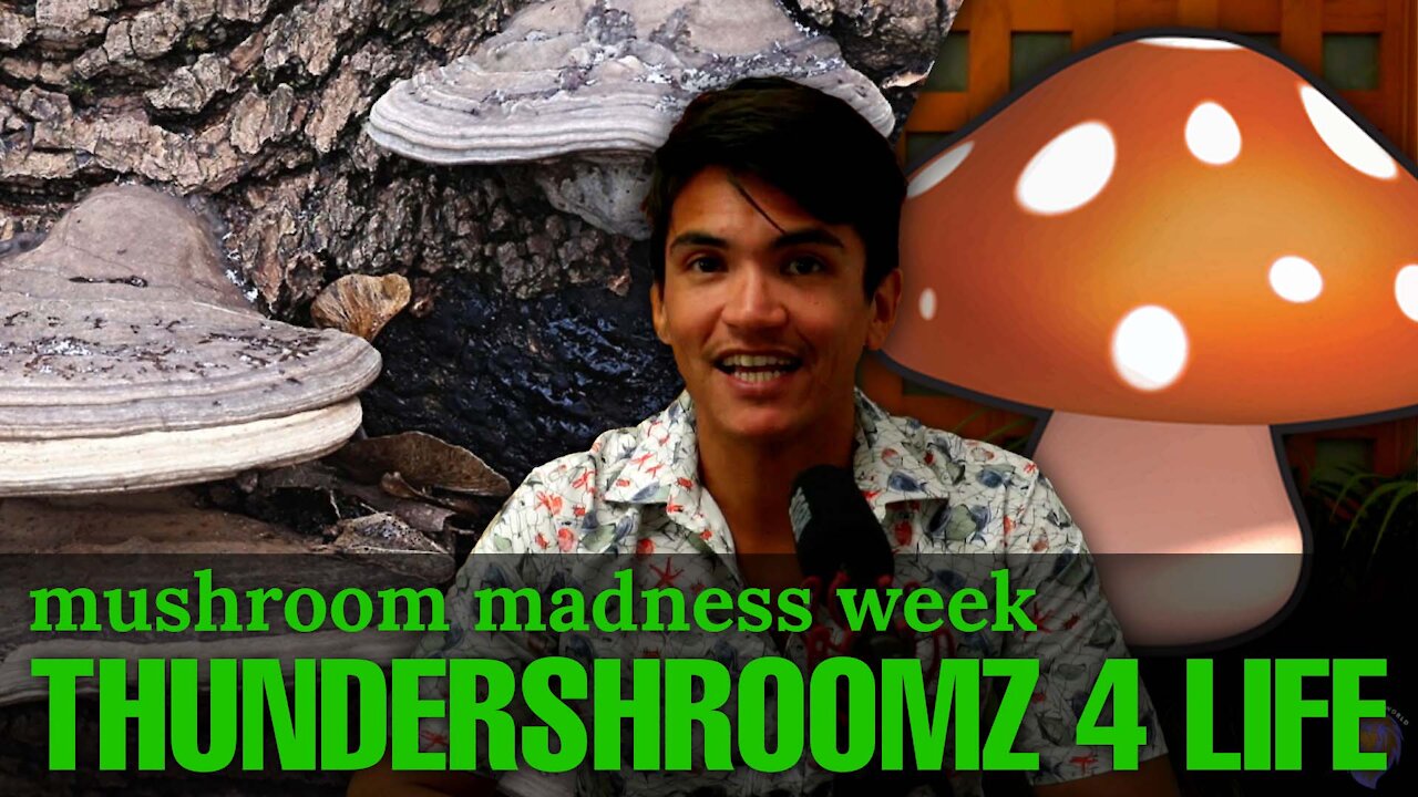 Mushroom Madness Week - Thundershroomz For Life - Episode 5 - Cancer With Oliver Foxon