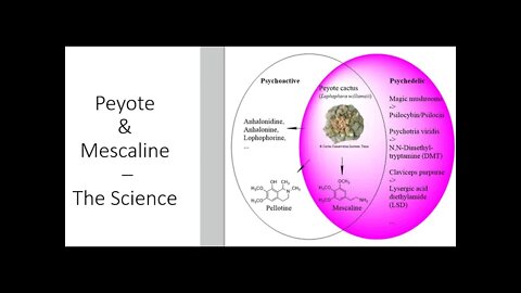 Mescaline & Peyote - Scientific Evidence