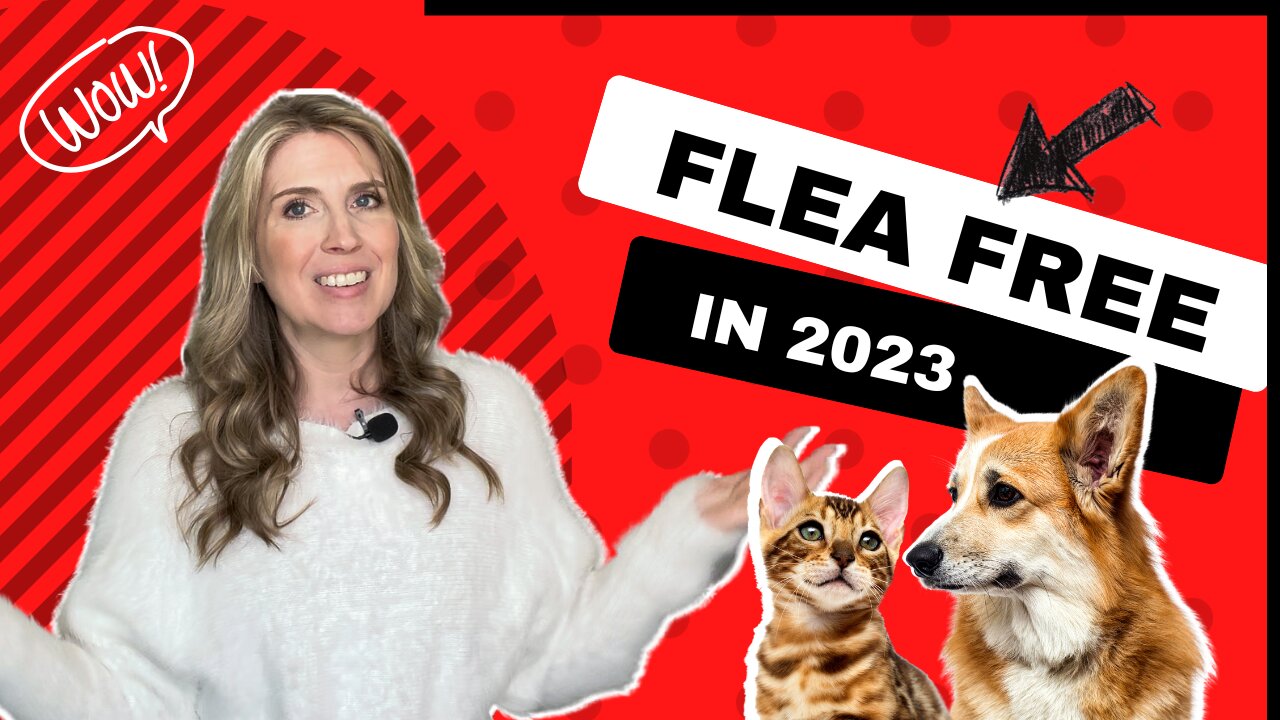 Stay Flea Free in 2023