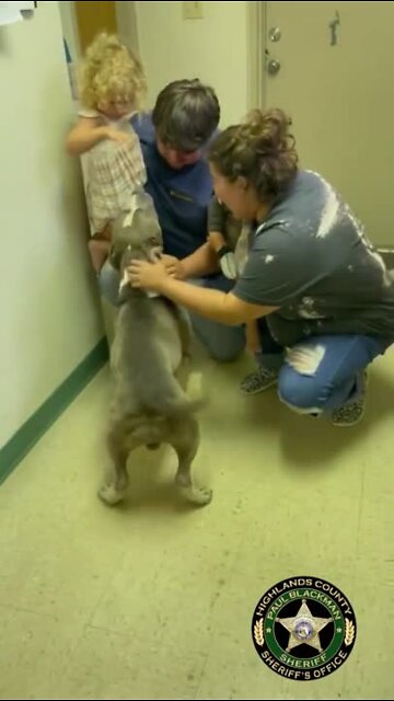 VIDEO: Lost dog reunites with family 10 months later