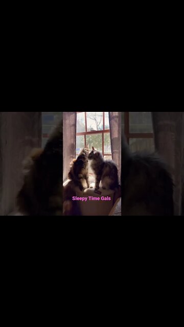 Sleepy time gals. Sisters and bffs