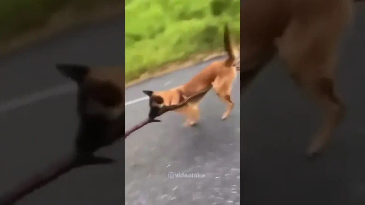 Perfectly balanced