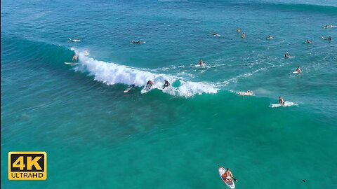 4K Hawaii 🌿Surfing Deep House🎵Travel Music Chill Out Mix