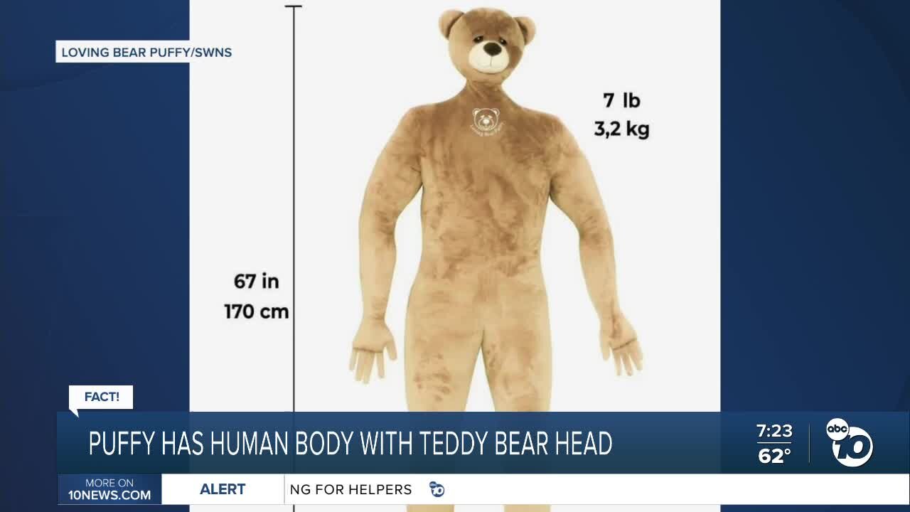 Fact or Fiction: Human-sized emotional support bear on sale?