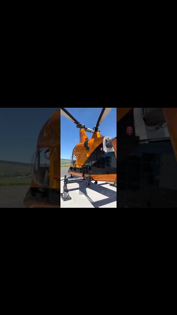 #shorts #2022 funny,prank,funjokes,dad jokes,funny memes,funny video,fun,laughing,funny animal,knock