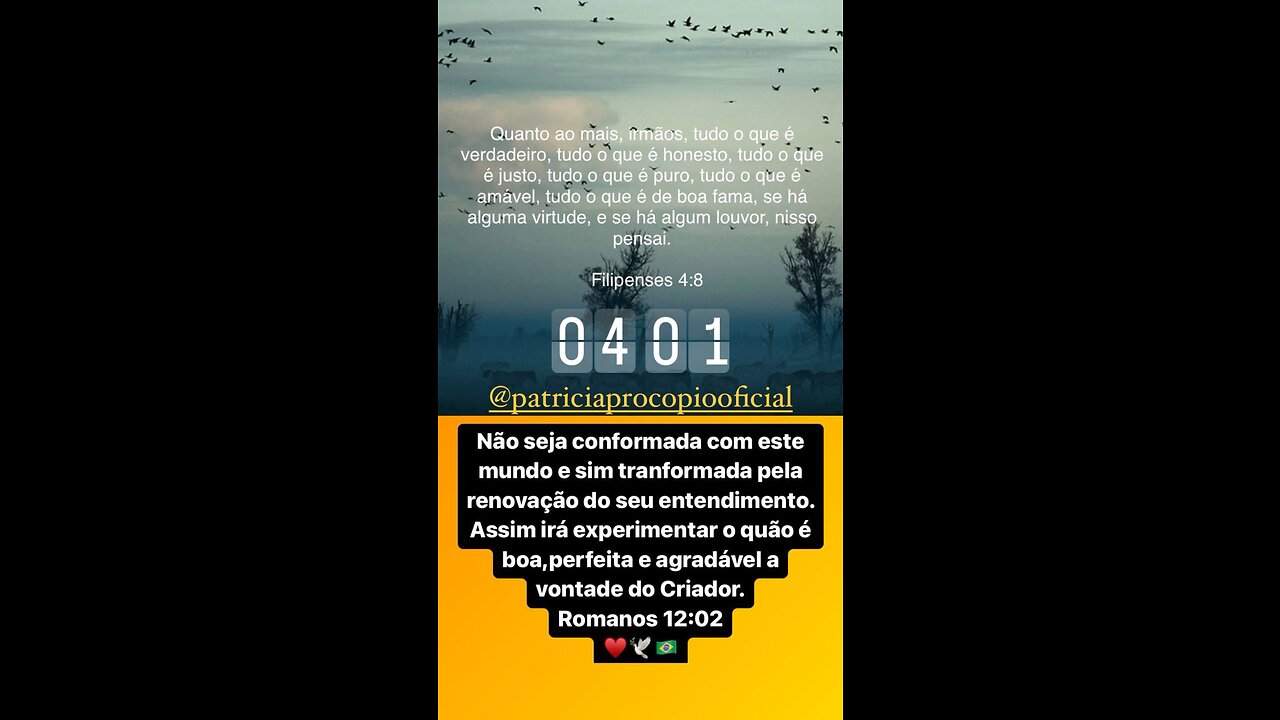 Pílula Diária