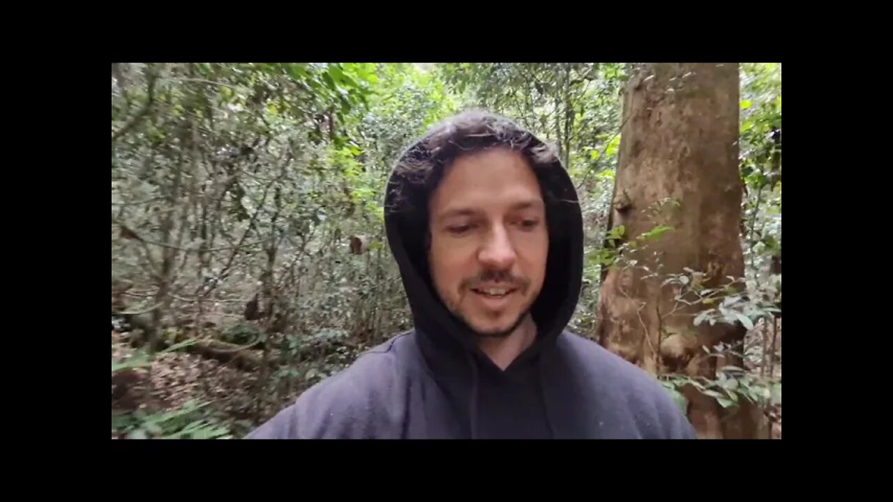 Told You So (Video Journal)
