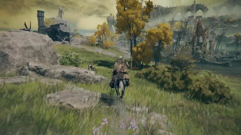 ELDEN RING Cinzas da Guerra: Ave de Rapina das Brumas (Raptor of the Mists)