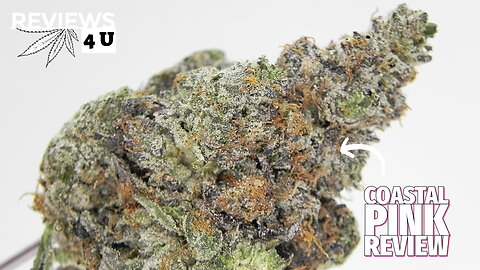 COASTAL PINK STRAIN REVIEW | THC REVIEWS 4 U - ELEPHANT GARDEN