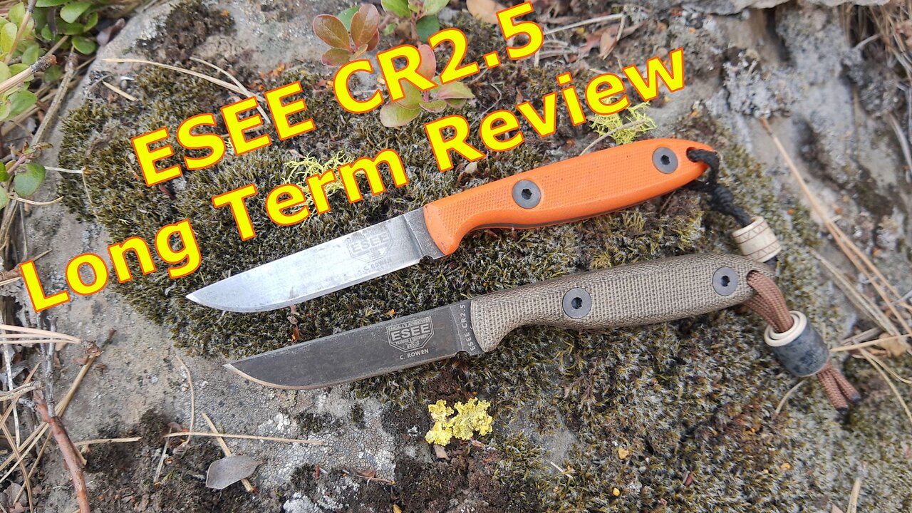 ESEE CR2.5 Long Term Review as a Bushcraft and EDC Knife