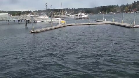 Unloading Crab Pots