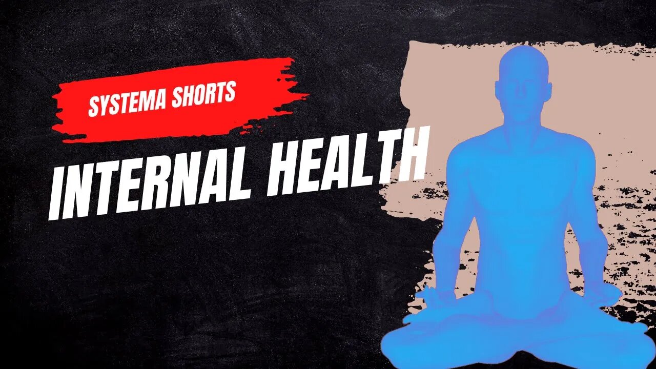 Systema | Thoughts on Internal Health