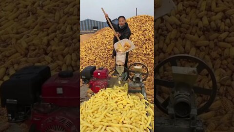 What is this? ❤😍