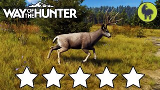 5 Star Montage | Way of the Hunter (PS5 4K)