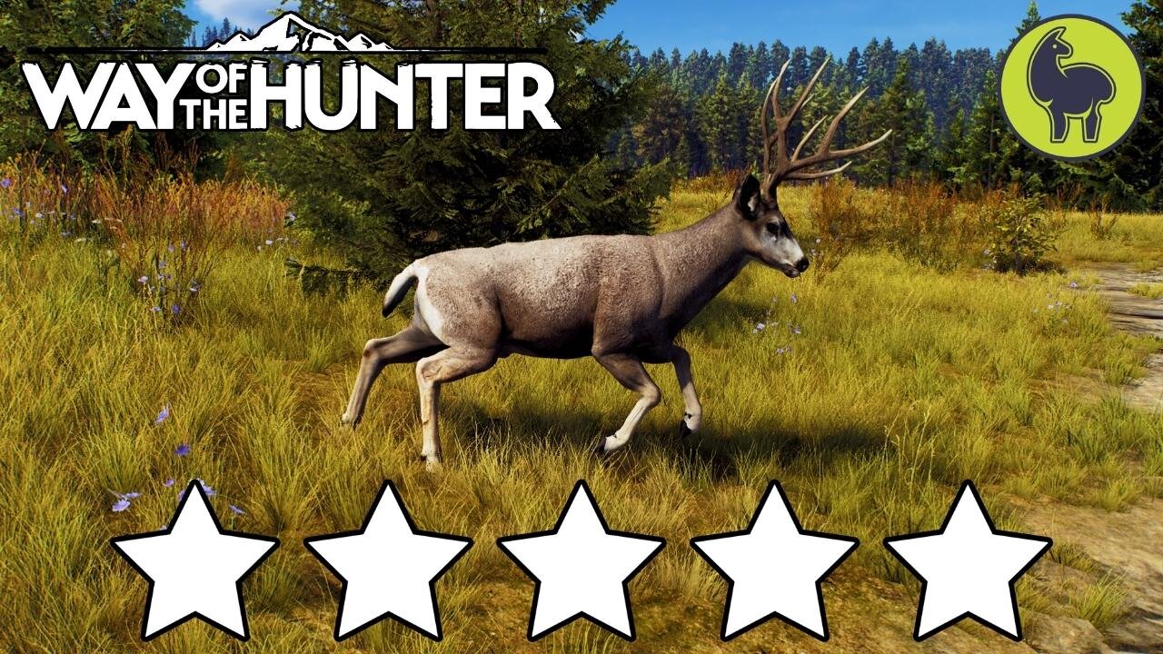 5 Star Montage | Way of the Hunter (PS5 4K)